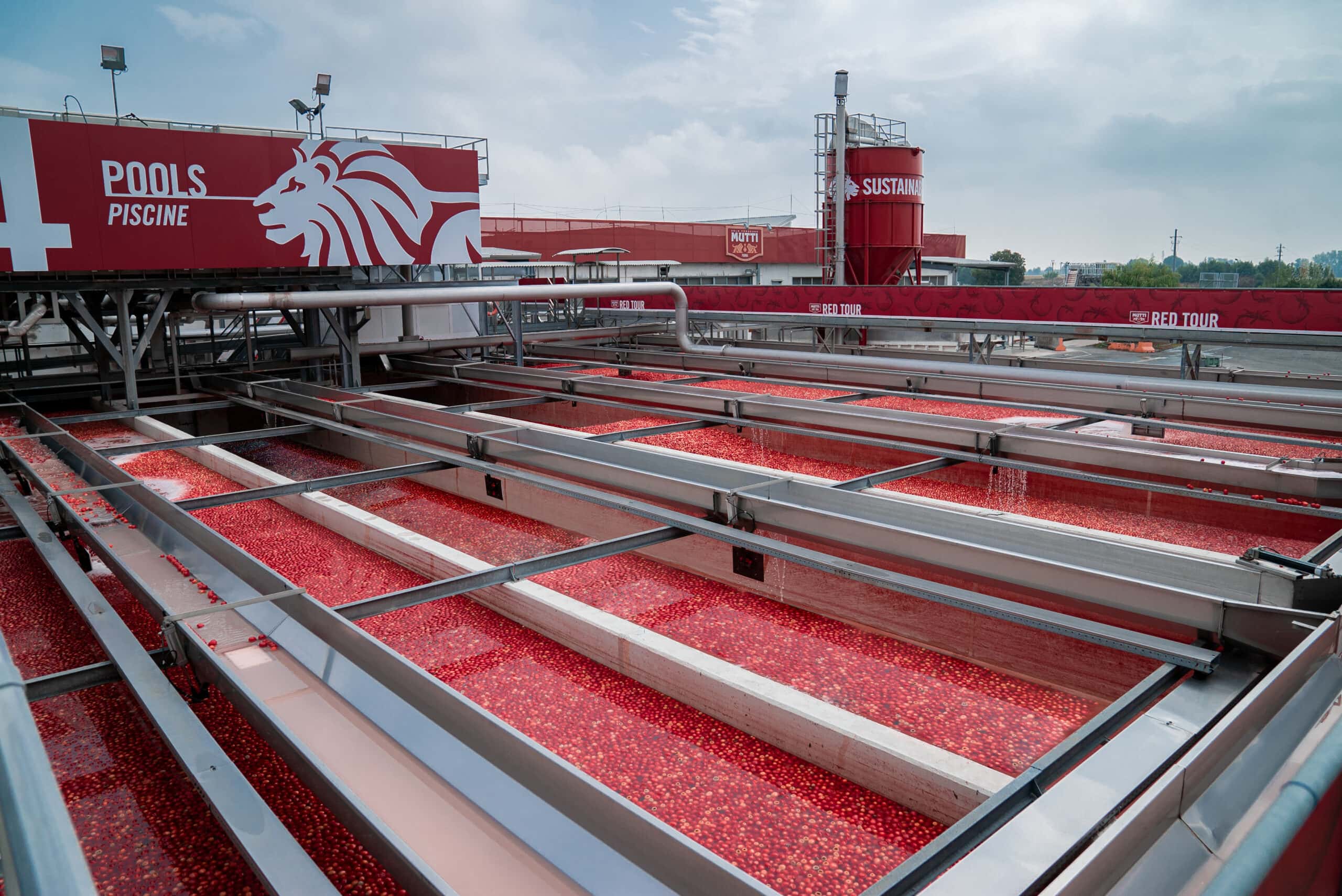 MUTTI GROUP: +13% IN REVENUE AND LAUNCH OF MUTTI POLAND