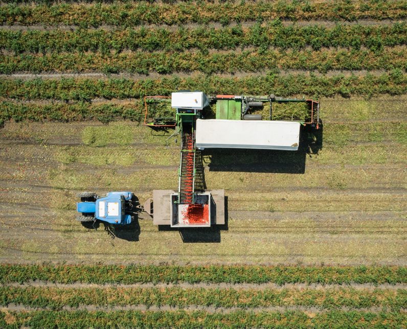 Beskyttelse av Italias biologiske mangfold
