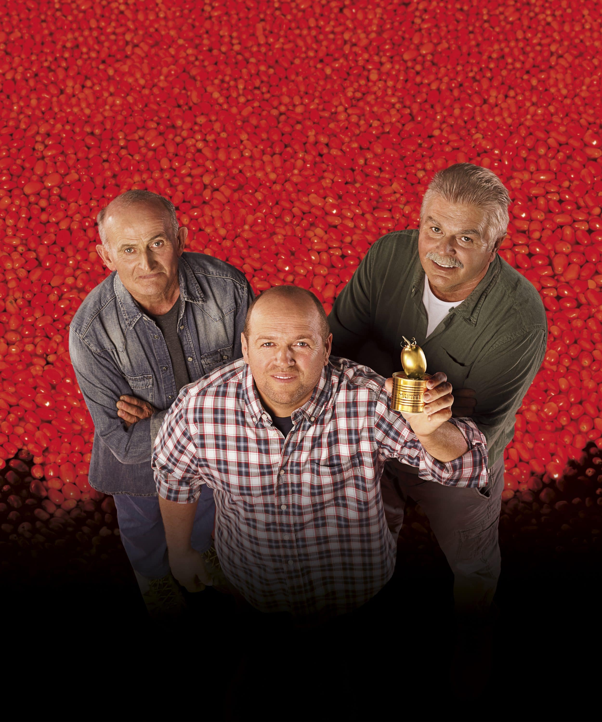 Pomodorino D’oro: Die goldene Tomate