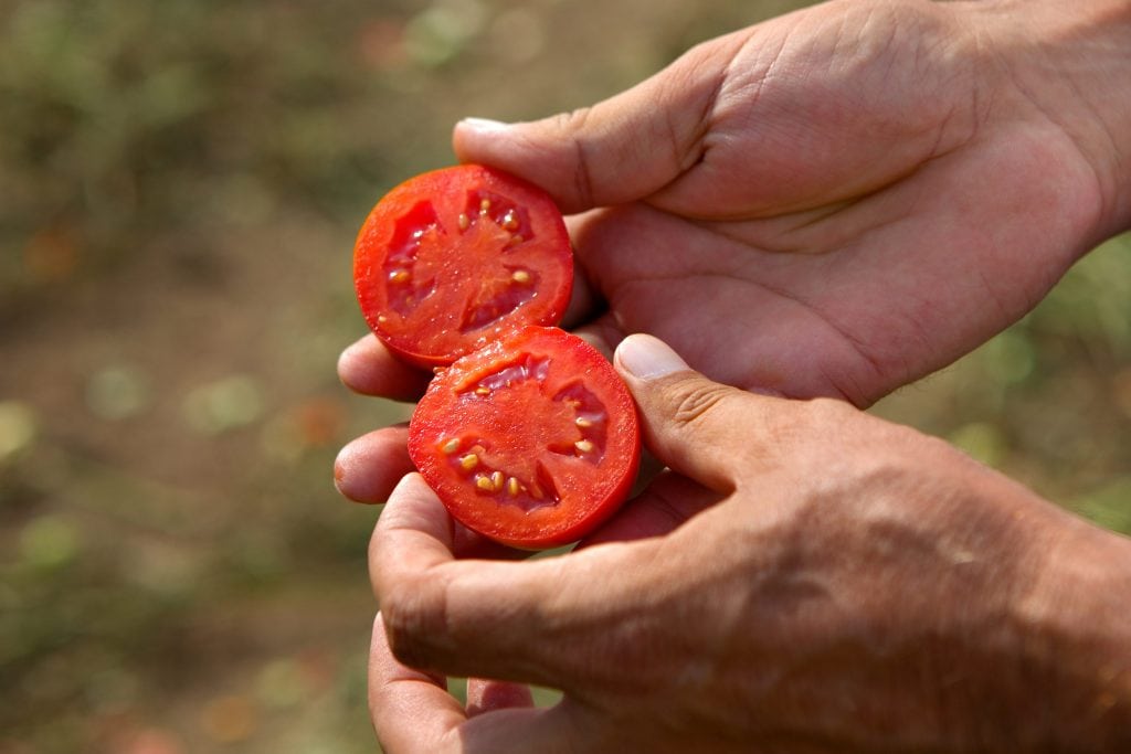 Sauce tomates et parmesan Mutti