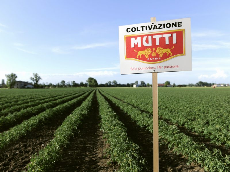 Environnement Mutti