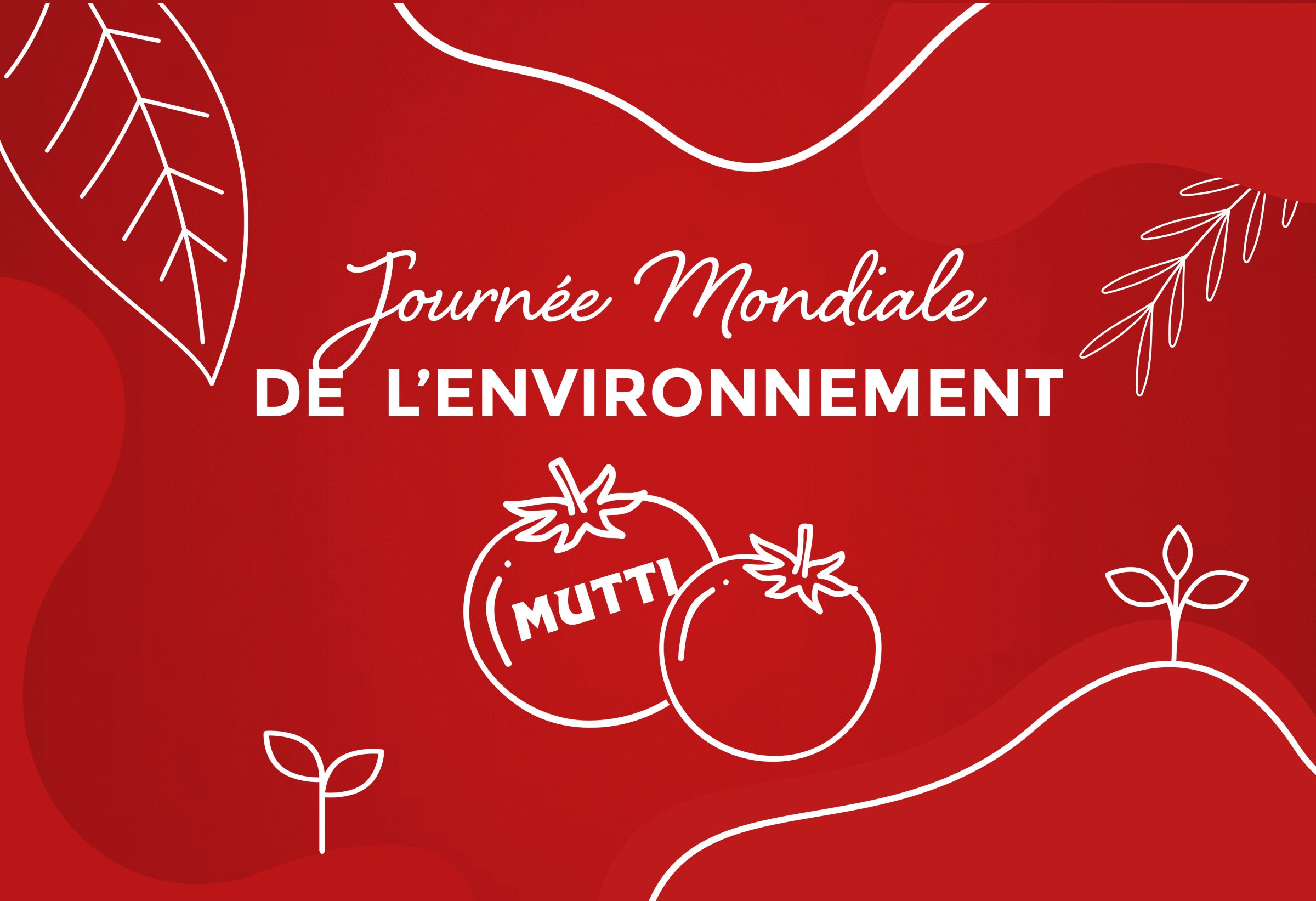 5 juin : Journée mondiale de l’environnement