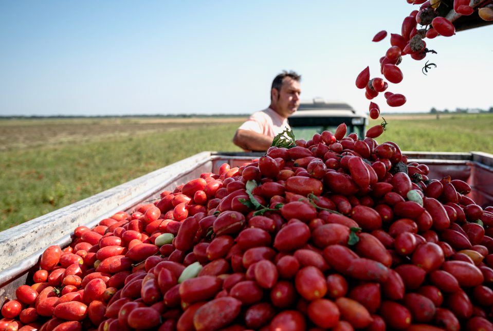 A production chain which holds up to scrutiny