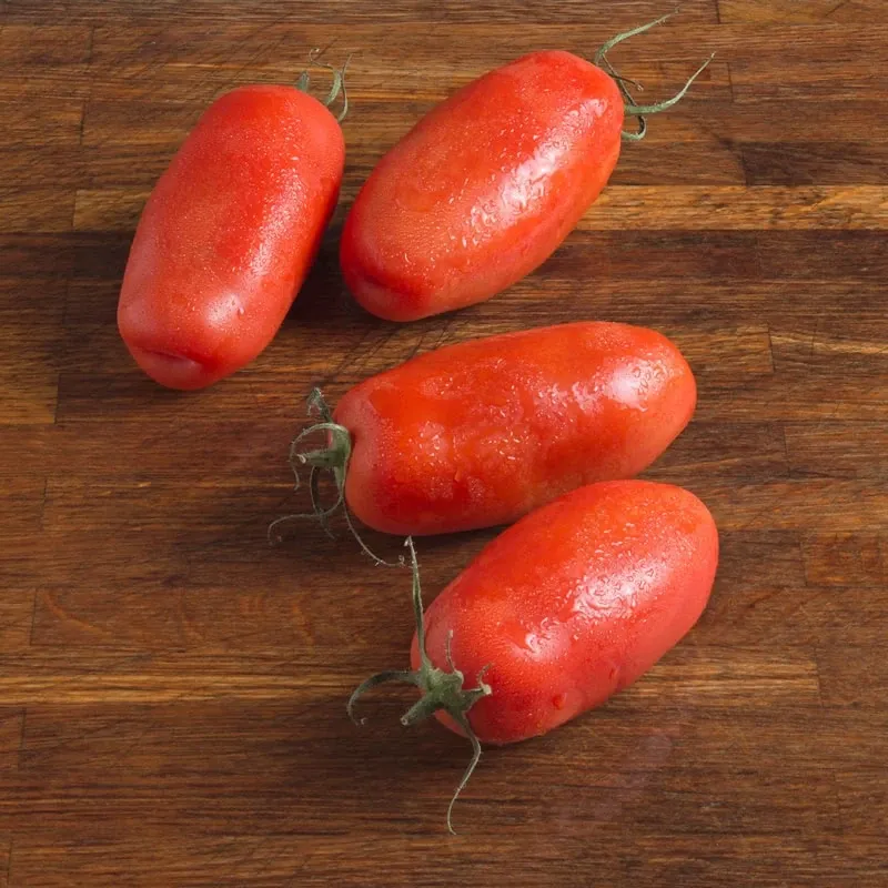 plum tomater