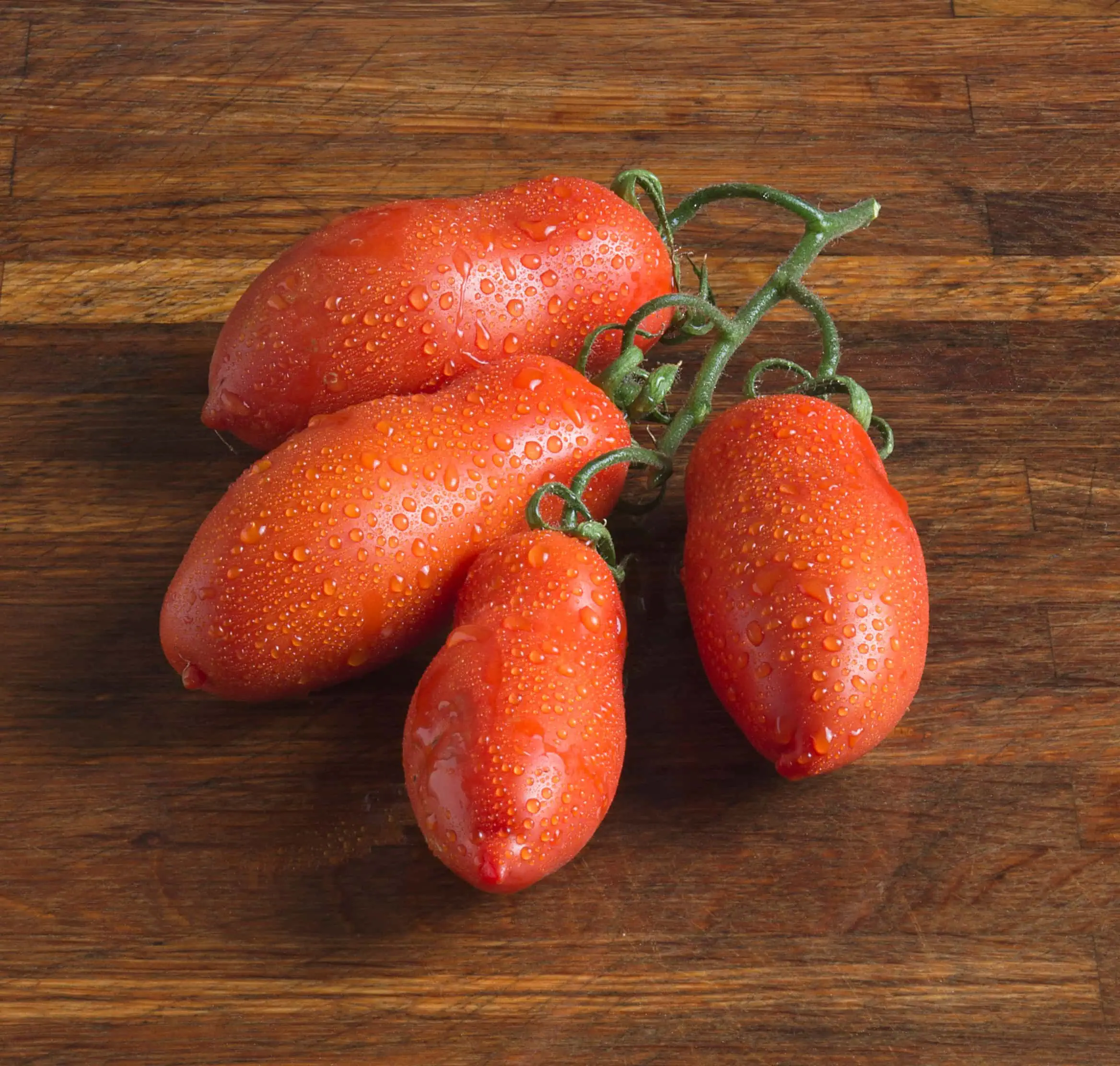 san marzano tomater