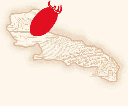 passata pugliese