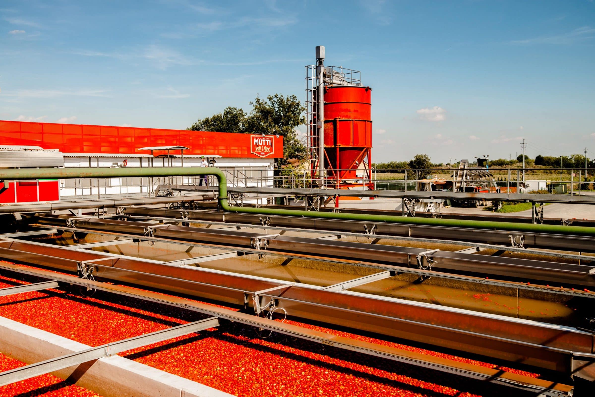 CAMPAGNA DI TRASFORMAZIONE DEL POMODORO 2021: MUTTI RICERCA 300 LAVORATORI STAGIONALI PER LO STABILIMENTO FIORDAGOSTO DI OLIVETO CITRA (SA)