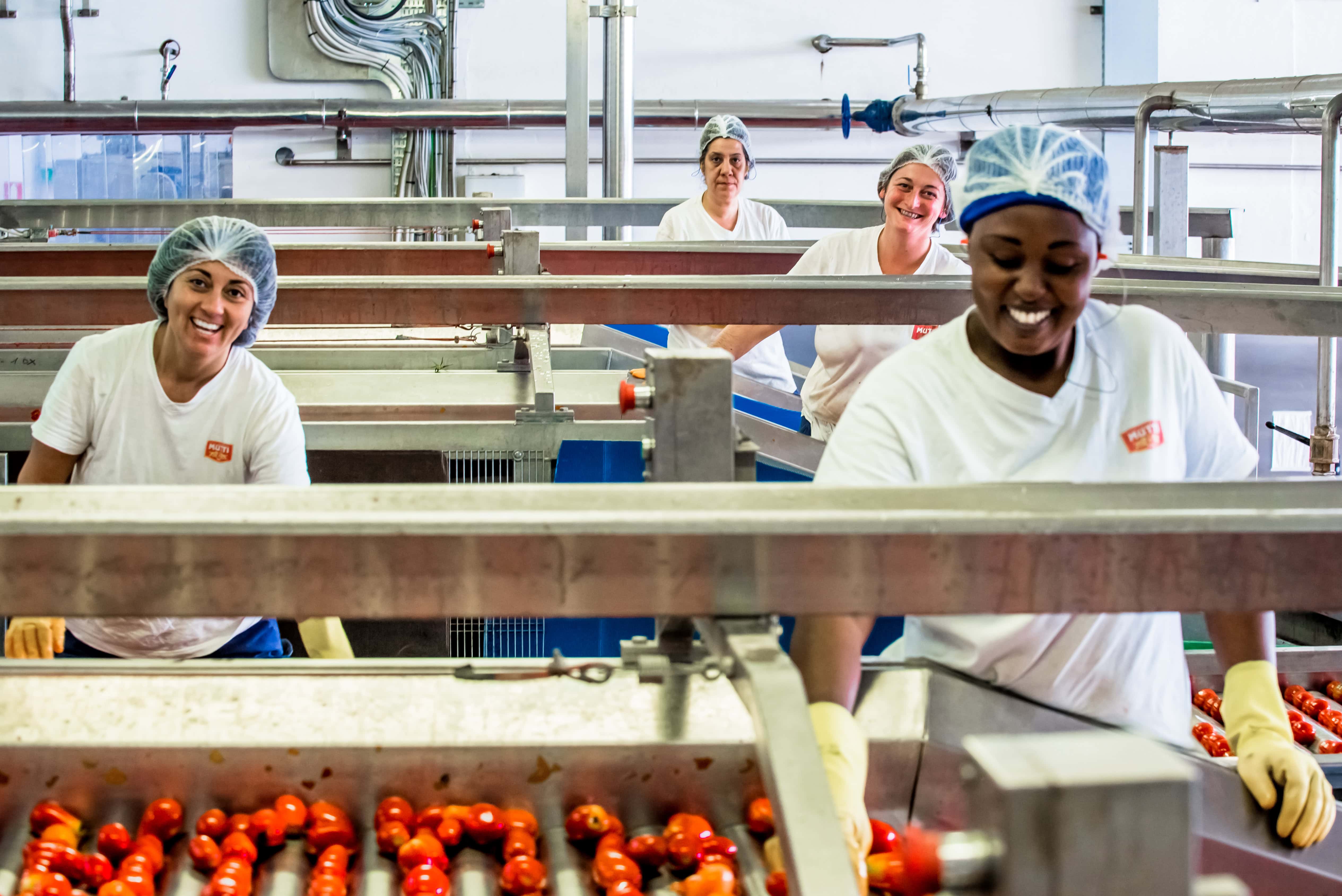 QUALITÀ ECCELLENTE PER LA CAMPAGNA DEL POMODORO 2021