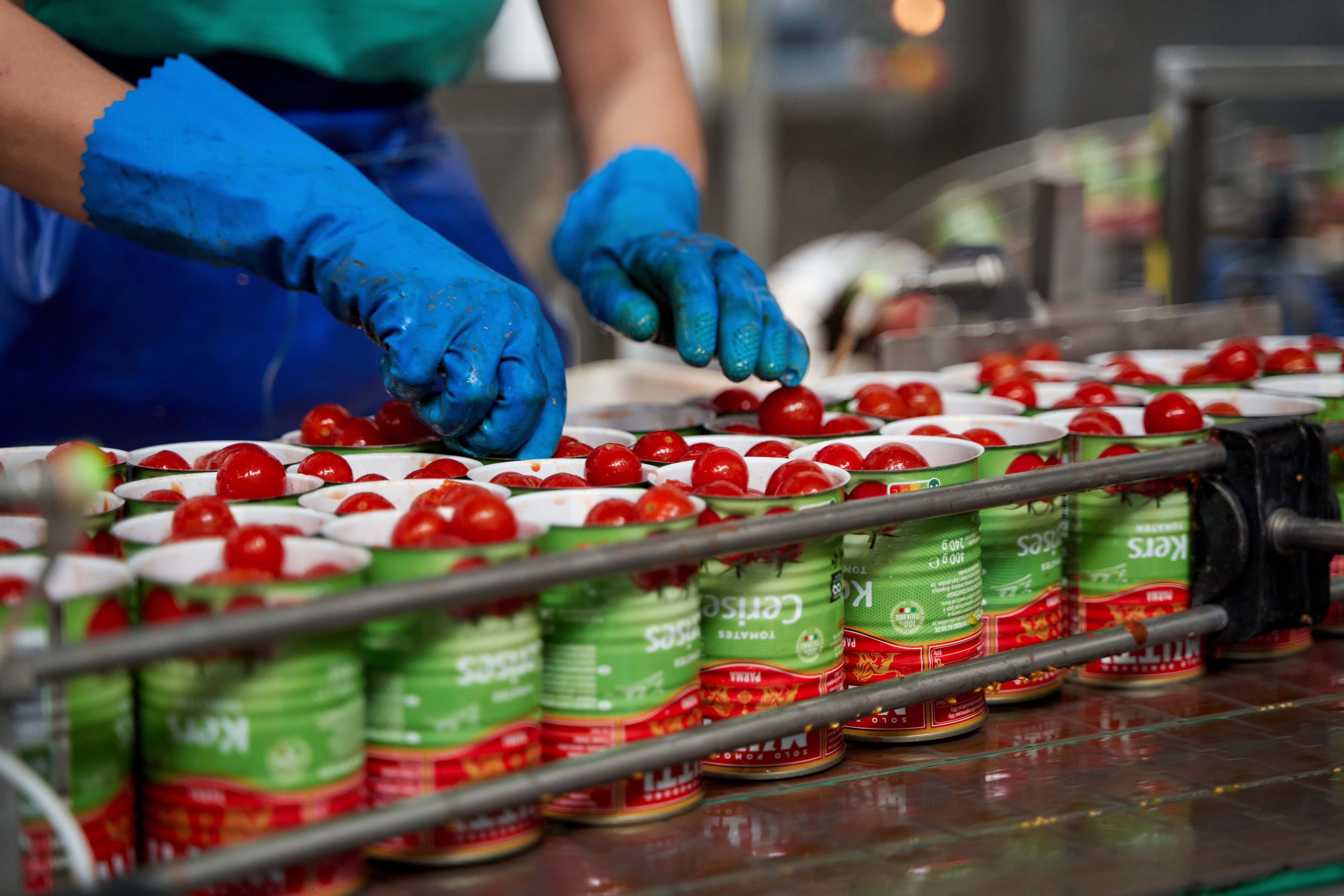 1200 ASSUNZIONI PER LA CAMPAGNA DI LAVORAZIONE DEL POMODORO 2023