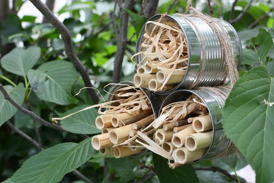 DIY haaste - mehiläispesä